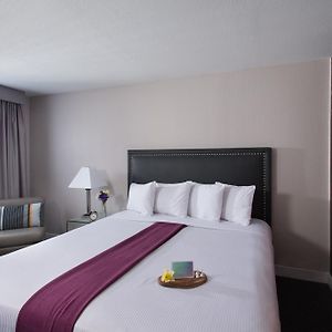 Zimmer mit Queensize-Bett