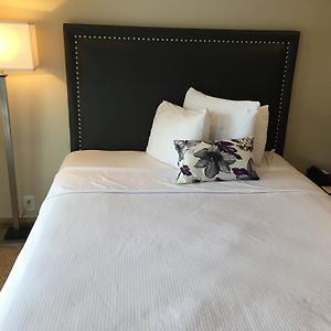 Studio mit Queensize-Bett